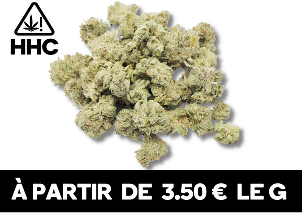 Small Buds HHC | Indoor | 15% HHC